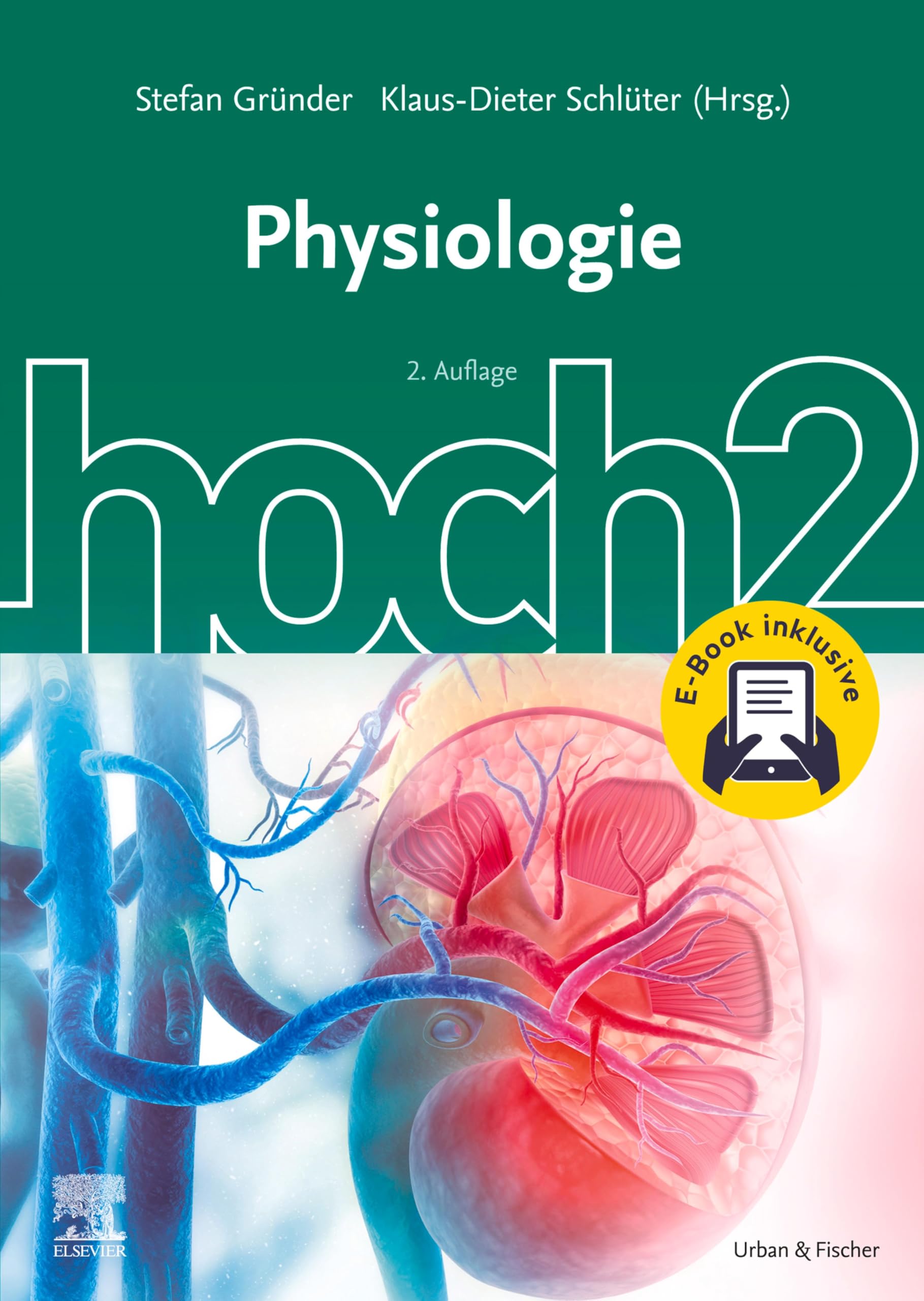 Physiologie hoch2 (KURZLEHRBUCH - Urban & Fischer Verlag)