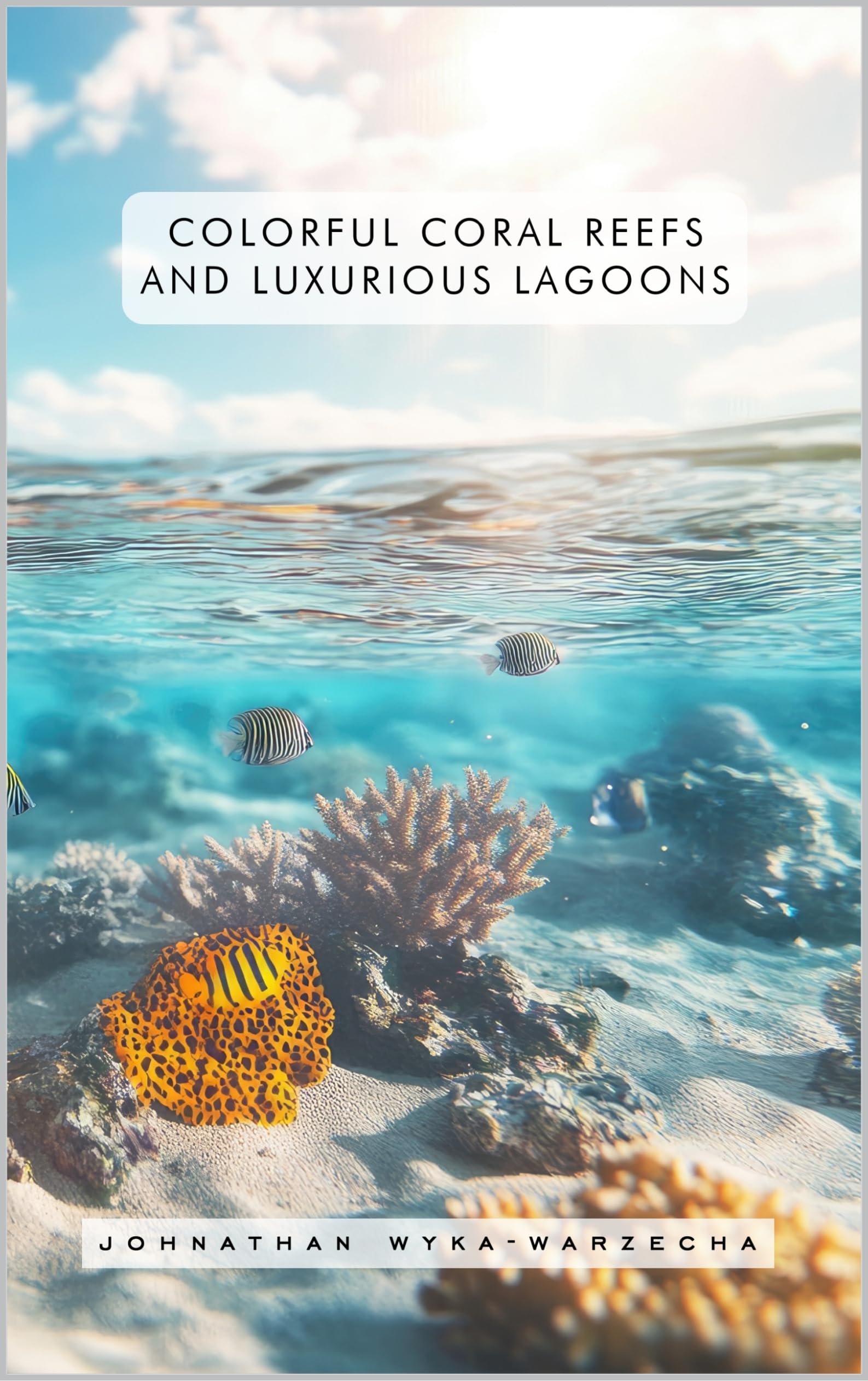 Livre d'art océanographie photos de récifs coralliens colorés