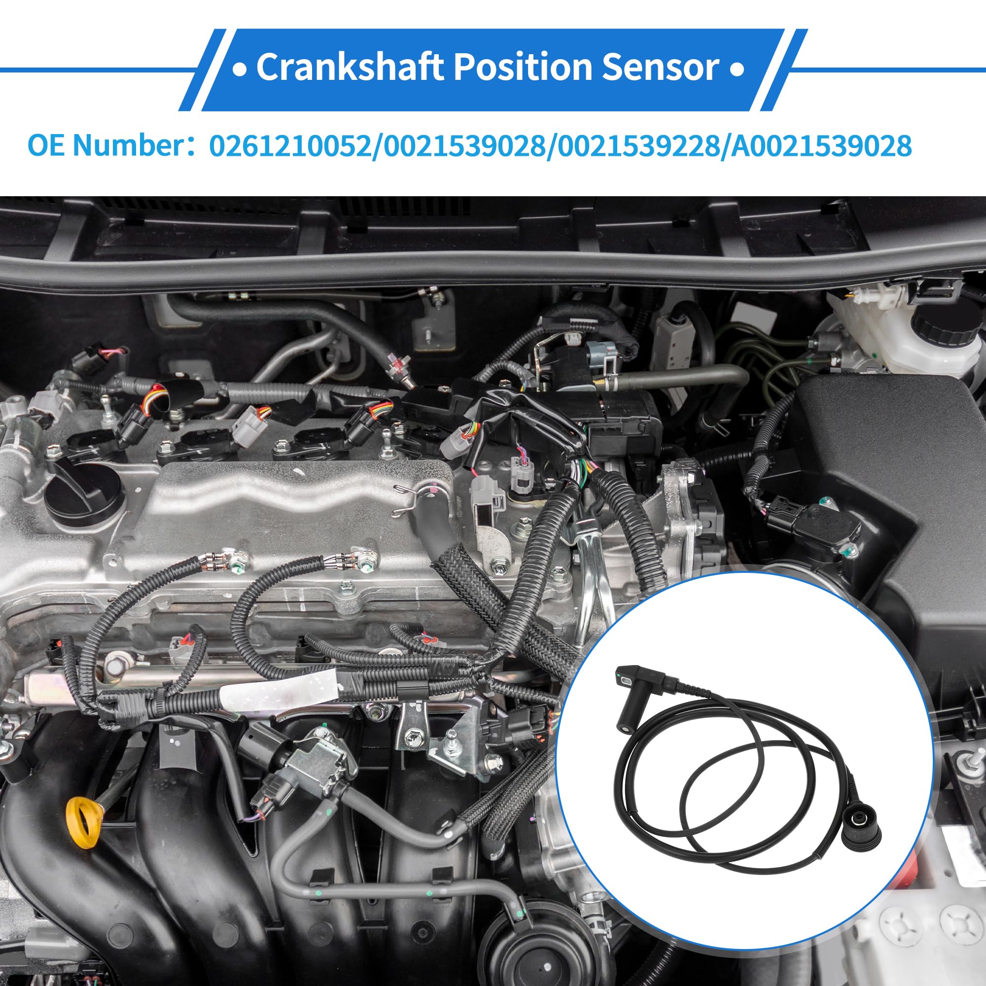 Sensor De Posición Del Cigüeñal Para Mercedes-Benz 300Se 93-98 | Para Mercedes-Benz 300Se 2.8 93-98, Para Mercedes-Benz V200 2.0 97-03, Negro, Metal, Plástico, Oe: 0261210052, 0021539028