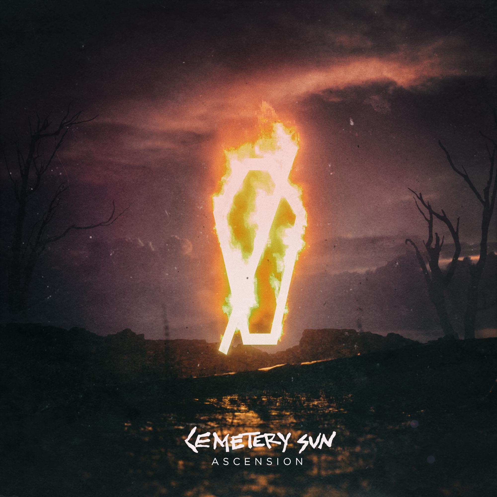 ASCENSION [VINYL]