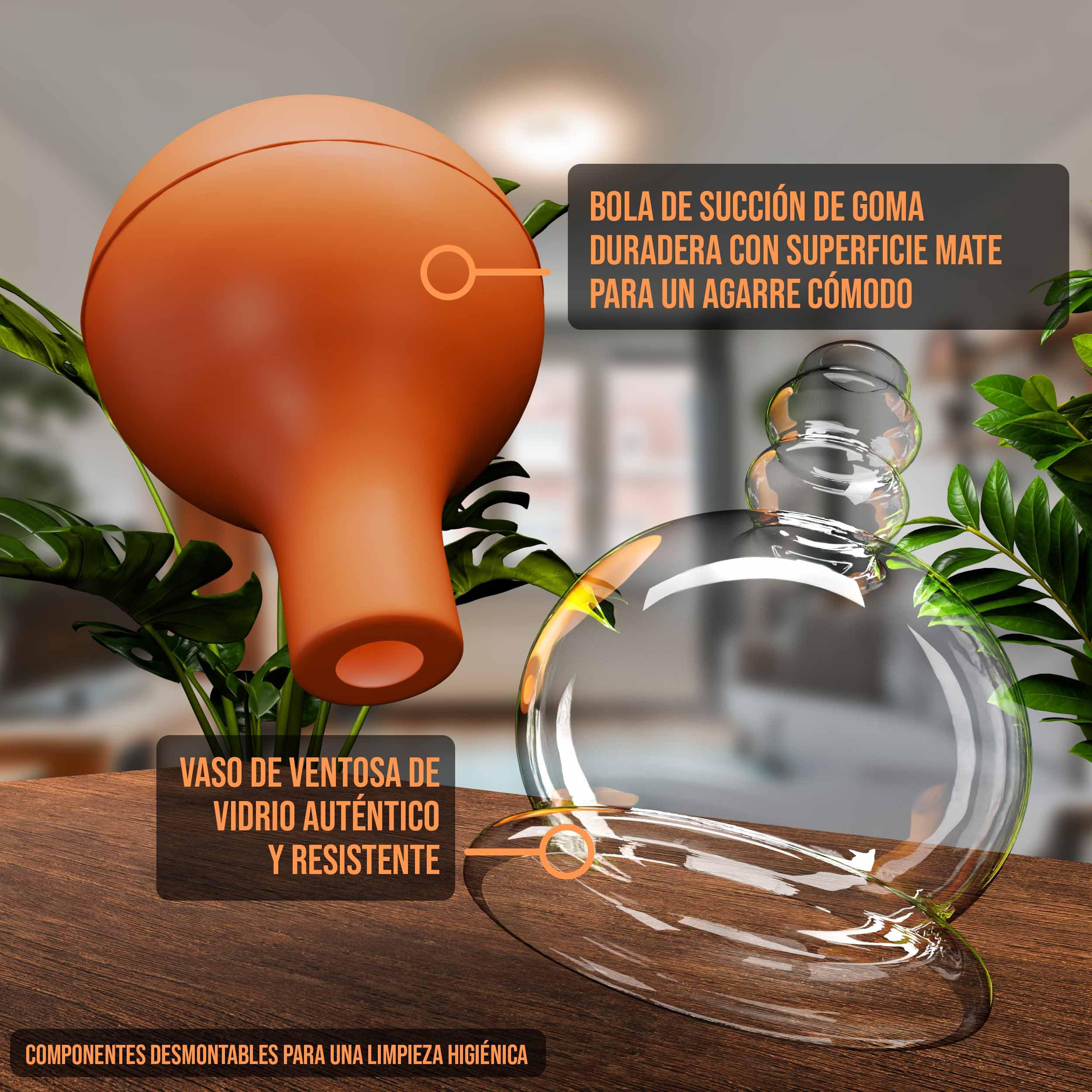 Pulox Juego de ventosas de cristal auténtico con ventosa – 3 x Ventosas médicas en marrón – 25 mm, 32 mm, 40 mm