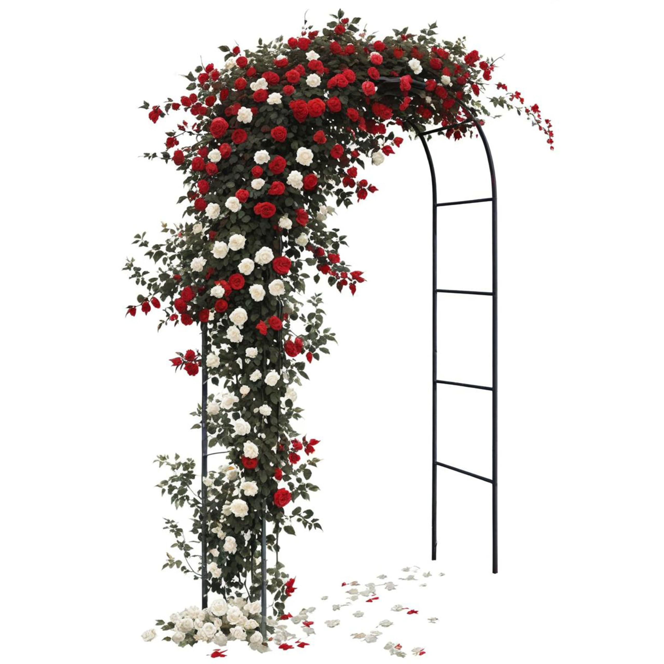 Crystals Garden Arch Black Metal - Heavy Duty Steel Frame Support Arches for Climbing Plants, Roses, Vegetables, Outdoor Decoration and Archway Decor - Large Size (2M) (Garden Arch) (RA100)