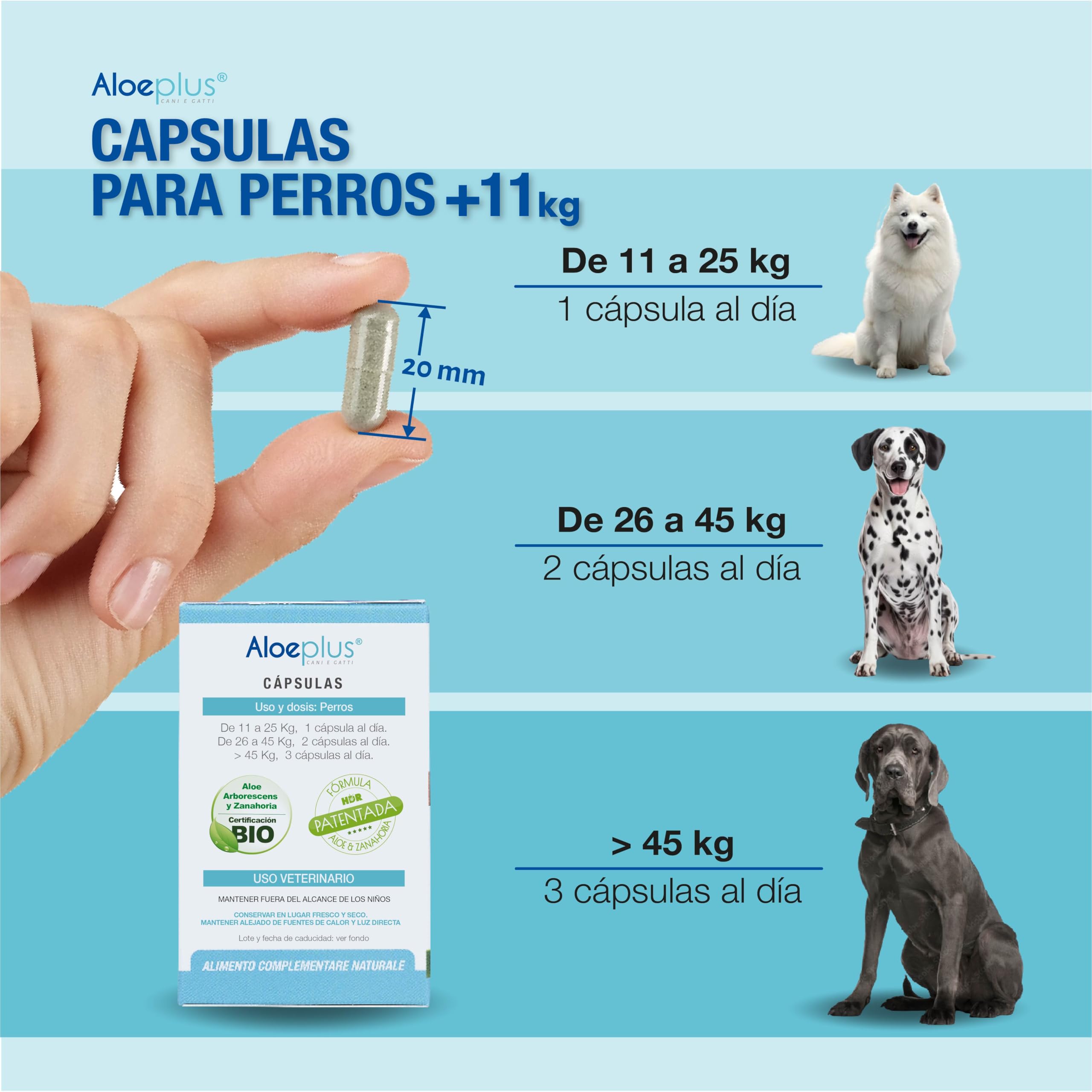 Aloeplus Suplementos cápsula para Perros 11+ kg. - Suplemento Natural a Base de Aloe arborescens - Estimula el Sistema inmunológico - para el Bienestar de los Perros de 11 kg en adelante