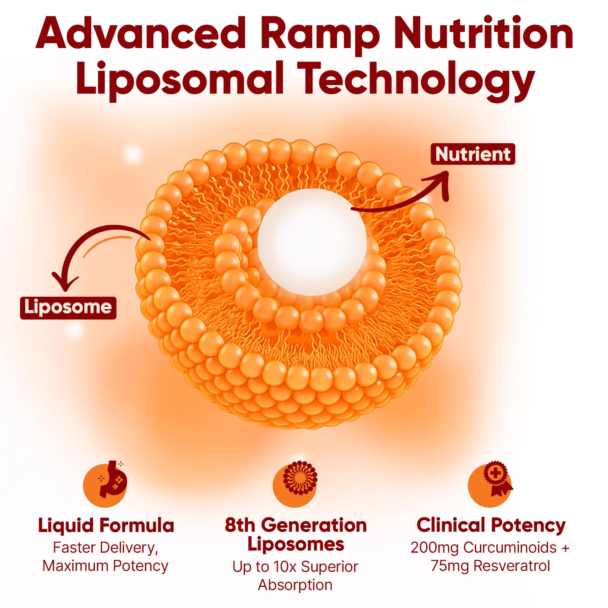 Liposomal Curcumin + Resveratrol Liquid – 200mg Curcuminoids + 75mg Trans-Resveratrol – Joint Support, Anti-Inflammatory & Longevity – High Absorption – Vegan – 30 Servings — Amazon image 5