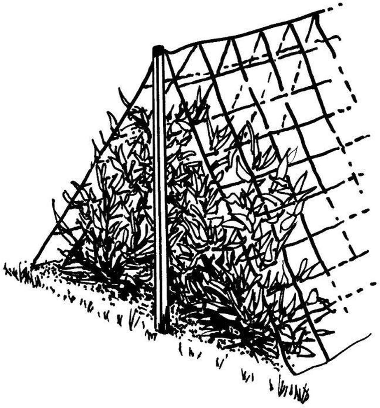 Luster Leaf 869 Vine and Veggie Trellis Net, Green, 5-Feet by 30-Feet