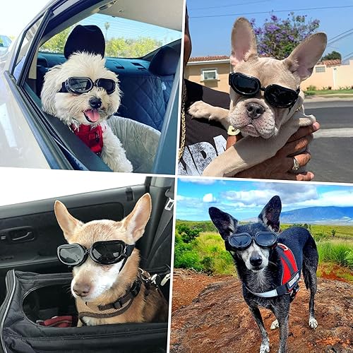 Miniatura 5 de Gafas de sol y casco para perros de raza pequeña, protección UV, protección UV, casco de motocicleta para perros pequeños, a prueba de viento y