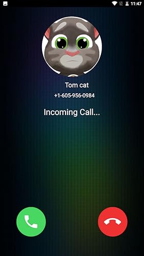 Fake Video Call From The Tom Cat Prank