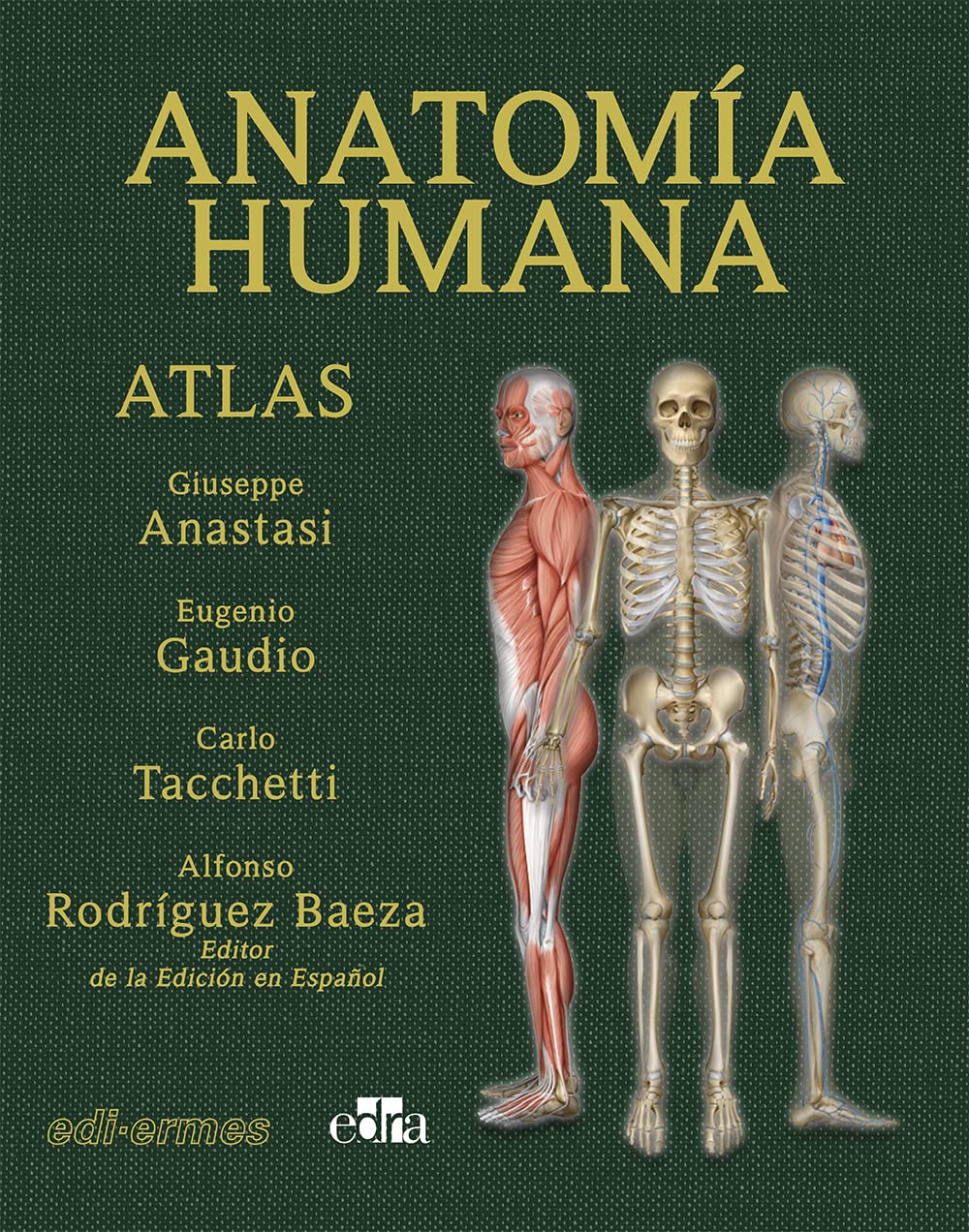 Anatomía humana. Atlas interactivo multimedia (2.ª edición) (SIN COLECCION)