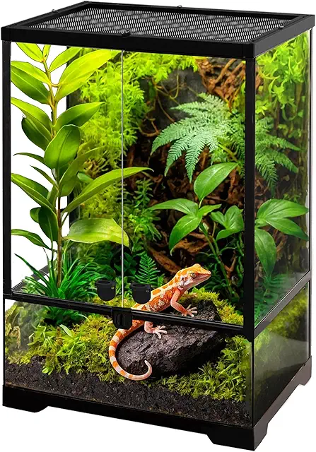 NEPTONION 10 Gallon 18x18x18 Terrarium with Dual Doors & Lock