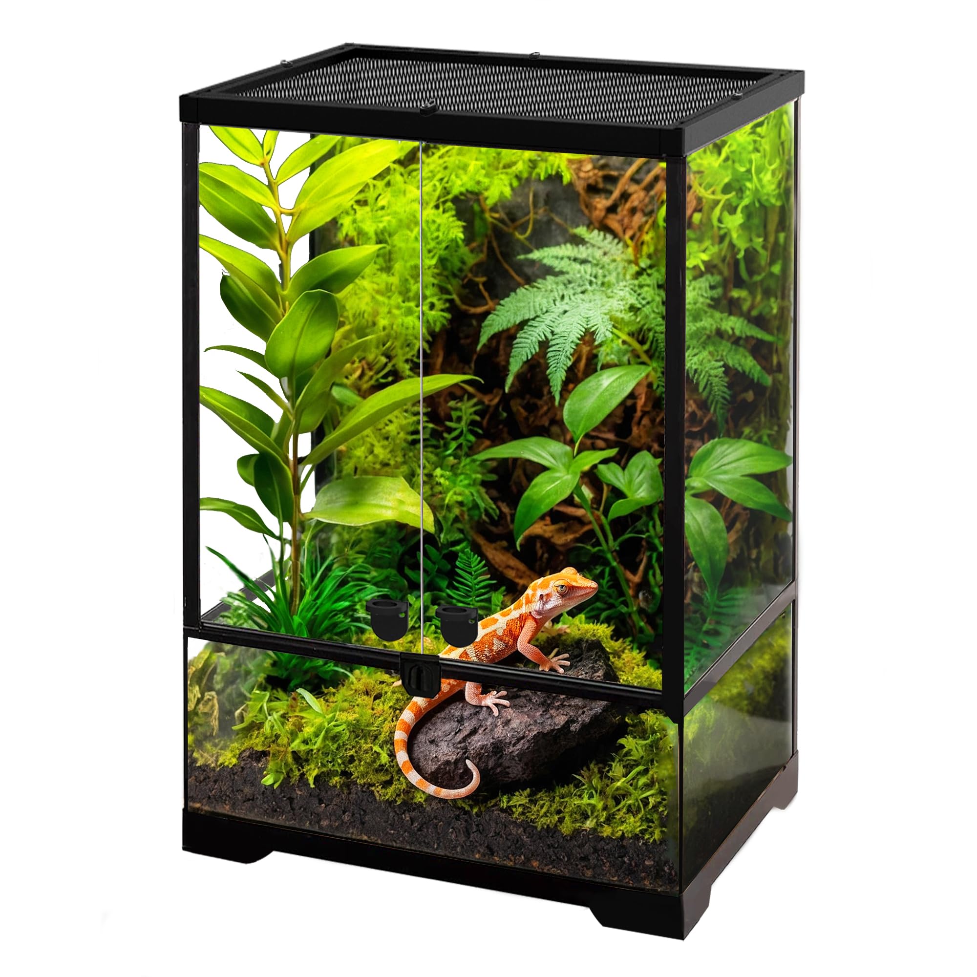NEPTONION 10 Gallon Professional Glass Terrarium 12"x12"x18" Durable Reptile Habitat Tank with Heat Resistant Aluminum Alloy Frame, Dual Front