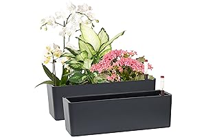 GardenBasix Window Sill Planter Box | Set of 2 Flower Pots 5.5x16in...