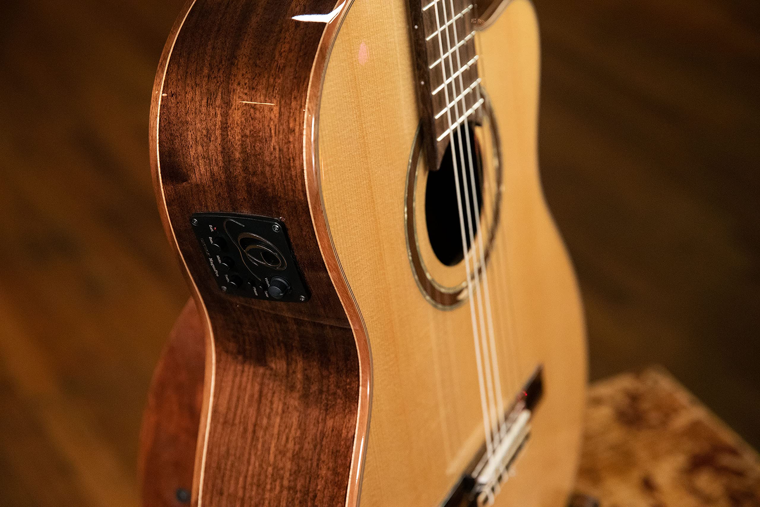 Ortega Classical Guitar Performer Series 4/4 Inclusive Custodia Manico Sottile - Natural (RCE158SN)
