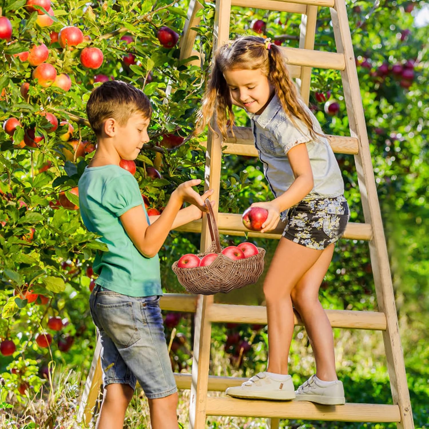 Rattan Flower Basket, Handmade Wicker Planter Basket with Plastic Liner and Handle, Woven Storage Basket for Home Wedding Garden Decoration, Brown L 42T235PY1428JB2