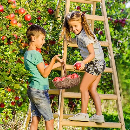 Miniatura 4 de Cesta de flores de ratán, cesta de mimbre hecha a mano con forro y asa de plástico, cesta de almacenamiento tejida para decoración del hogar, boda,