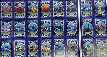 Amazon | カワダ(Kawada) ラビリンス オーシャン (Labyrinth