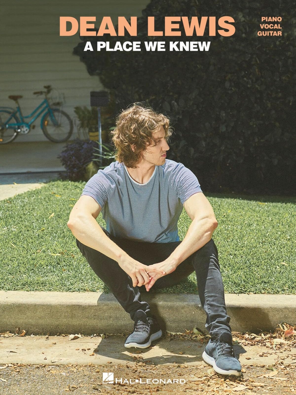 Dean Lewis: Dean Lewis - A Place We Know: Piano, Vocal and Guitar: Instrumental