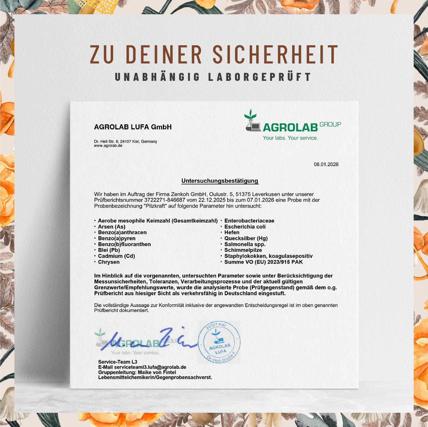 NATURTREU® Pilz Komplex hochdosiert 120 Kapseln mit Hericium Erinaceus (Lions Mane) Extrakt, Chaga, Reishi Extrakt, Shiitake Extrakt, Beta Glucan, Vitamin B2, B5 & B6
