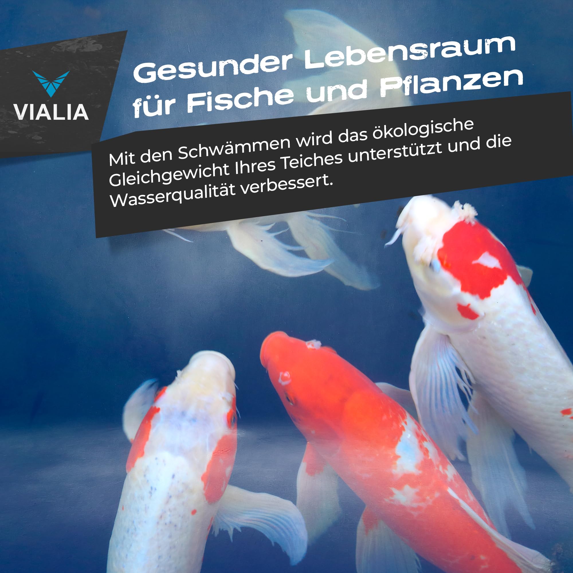 16x Filterschwamm Set kompatibel mit Oase BioTec 18 & Screenmatic | 8X Blau grob (10ppi) & 8X Rot fein (30ppi), Ersatzschwämme 21,5x15,5x9 cm für Teichfilter, Made in Germany