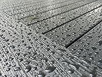 Review Image by L. Bohigian