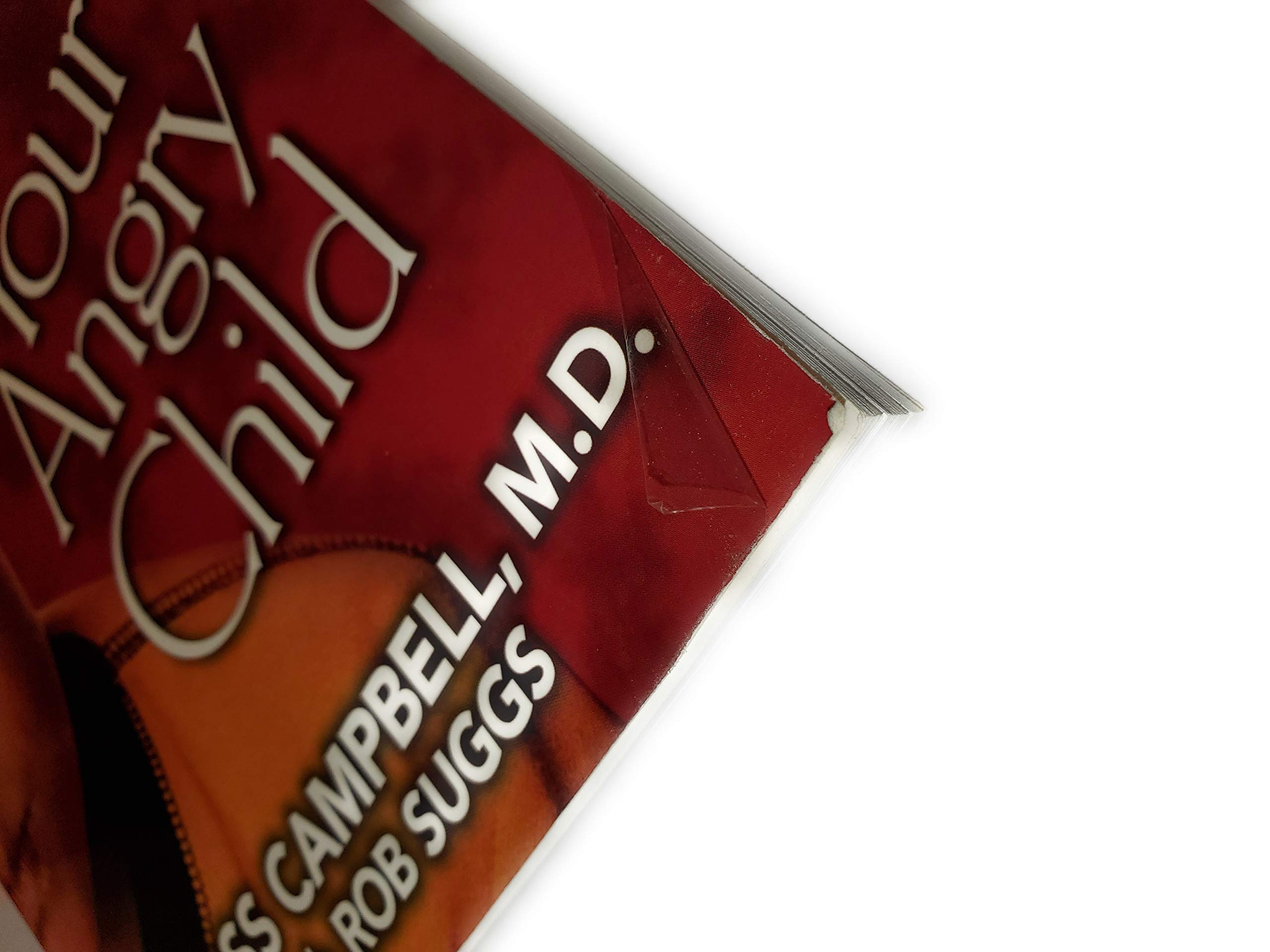 How to Really Love Your Angry Child - Image 2