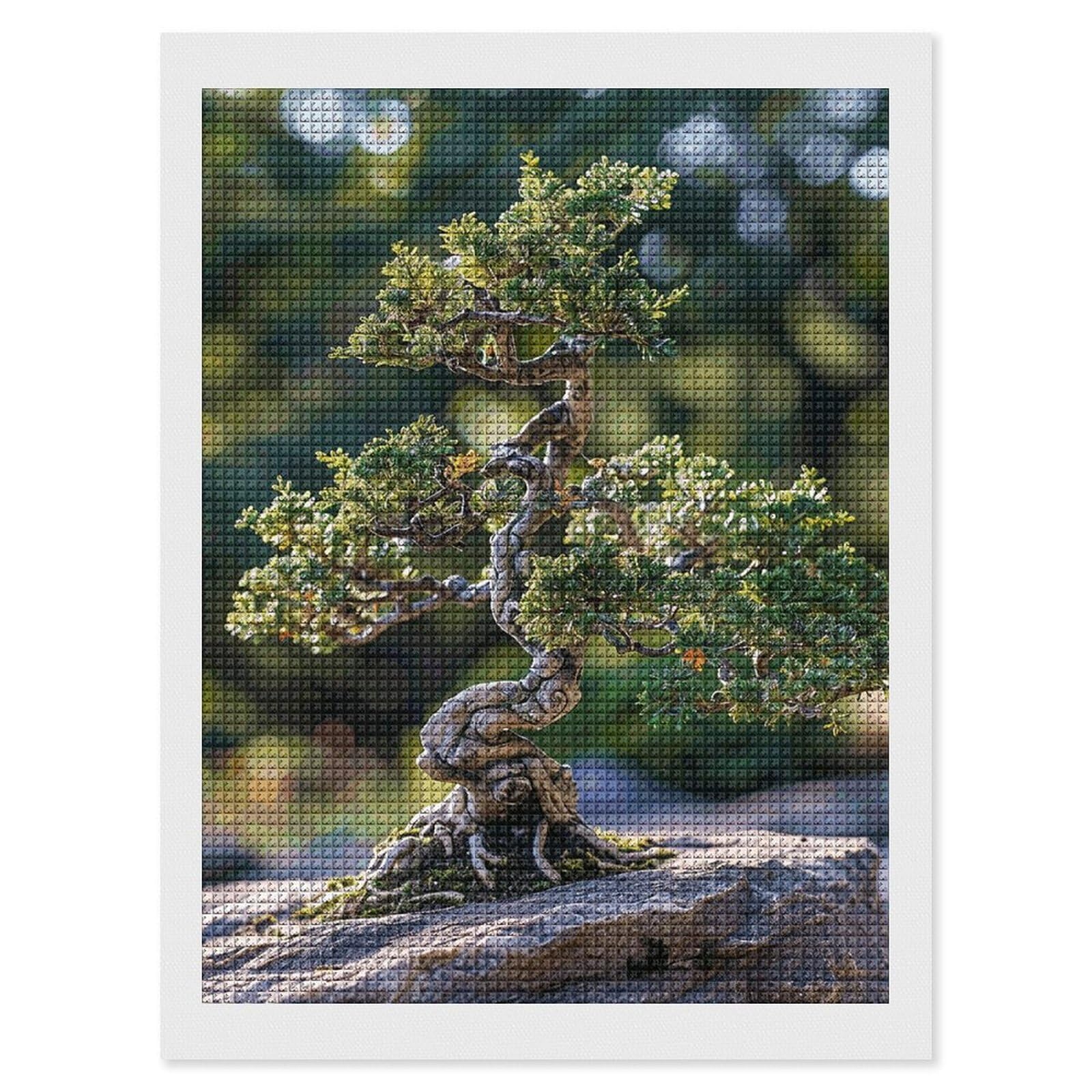 Amazon.com: MNVTSKOP Diamond Painting Kits Graceful Bonsai Tree Full Drill Diamond  Art Kits for Adults Square 5D DIY Diamonds Dots Paintings for Beginners  Paint by Diamonds Gem Art for Wall Decor 12"x16" :