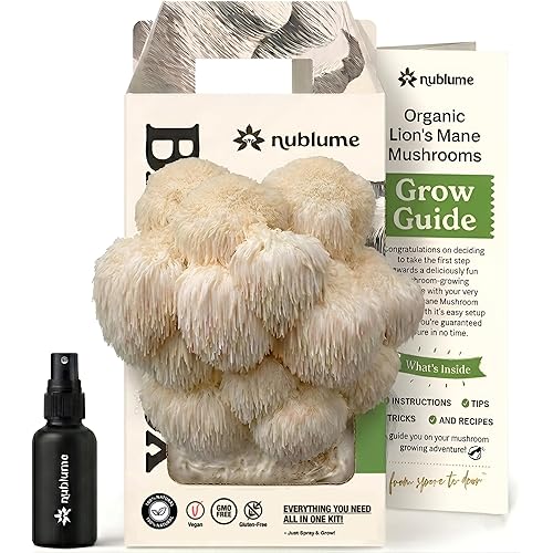 BloomBox Lion’s Mane Mushroom Grow Kit – Ready to Fruit Indoor Gardening Gift – Organic Nootropic Spawn Log – Edible Brain Food & Vegan Lobster Substitute – DIY Science Project for Adults & Kids