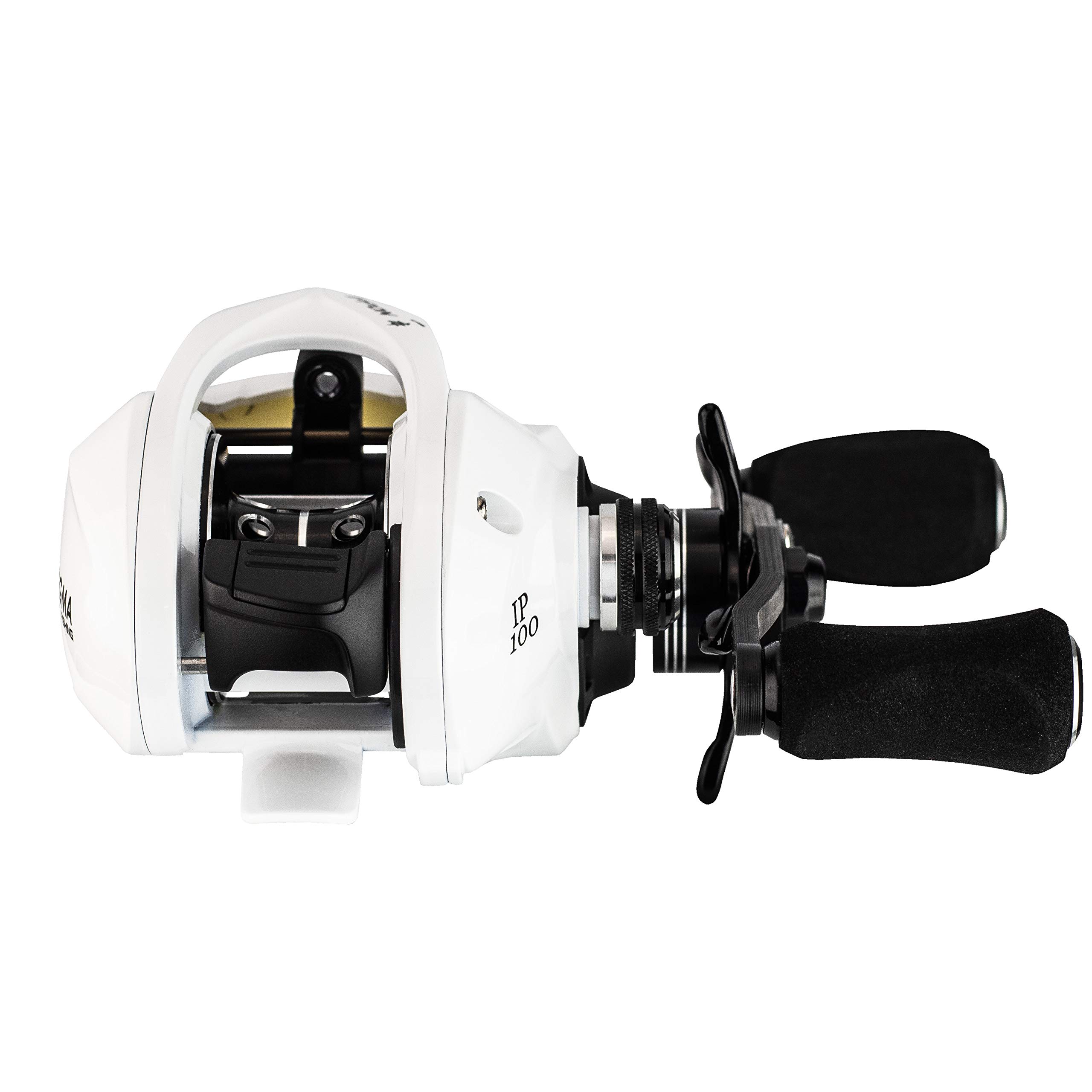 Enigma Fishing IPPON IP100 Baitcasting Reels, Low Profile Baitcasters, Carbon Fiber Drag, Three Color Coded Gear Ratios – Magnetic Braking System – Spool High-Speed Ceramic Bearings – No Ordinary Reel : Buy