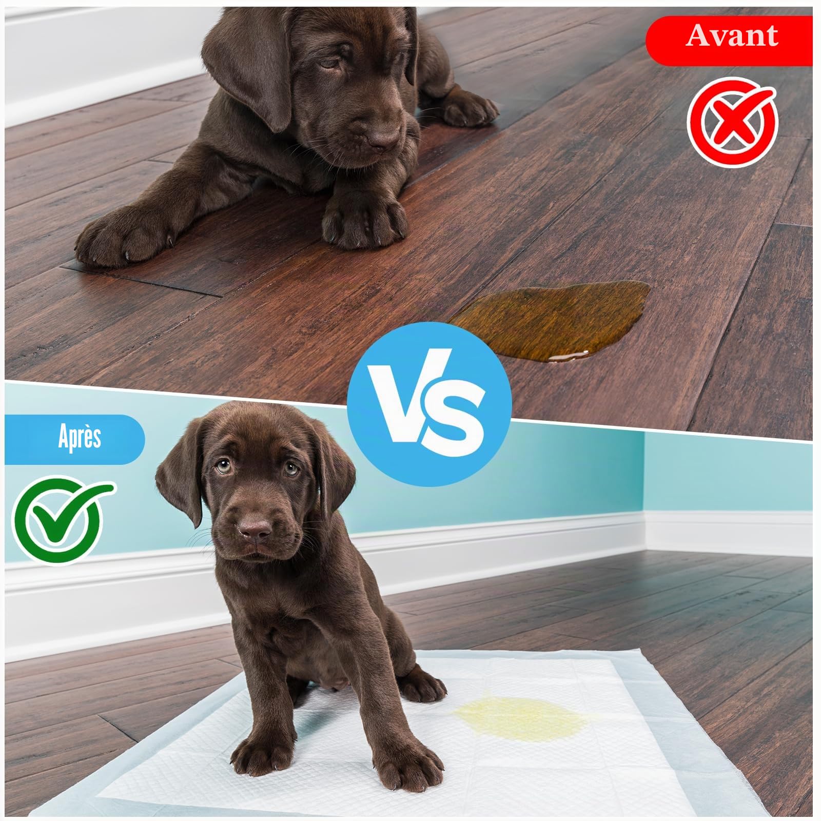 Alaise pour Chien 100 Pièces,60 x60cm Aleses Jetables pour Chien, 5 Couches Tapis Educateur Chiot, Tapis Hygiénique Absorbant, Anti-Fuite et Séchage Rapide