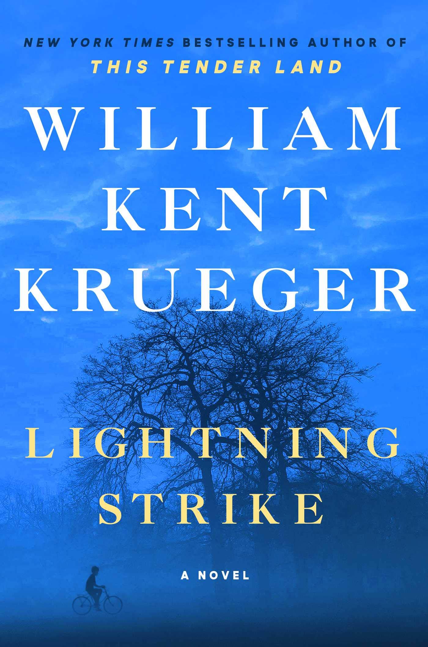 Lightning Strike: A Novel