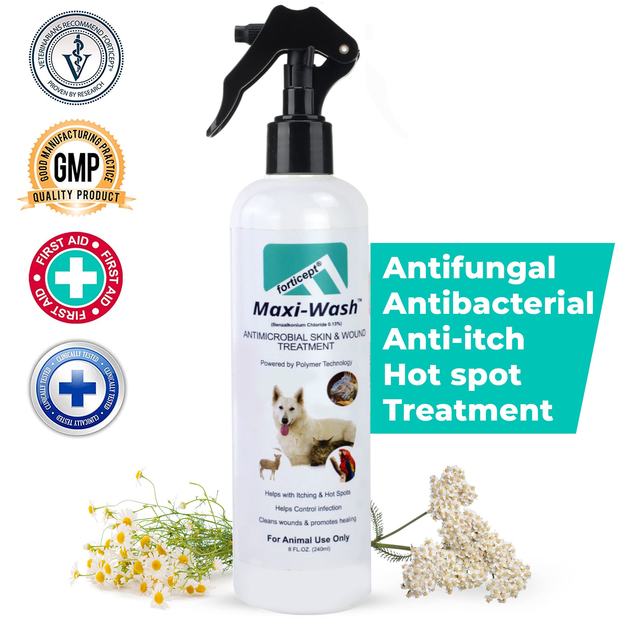 Can I Use Antiseptic Spray On My Dog
