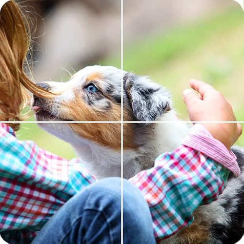 Free Animal Puzzle by FEI