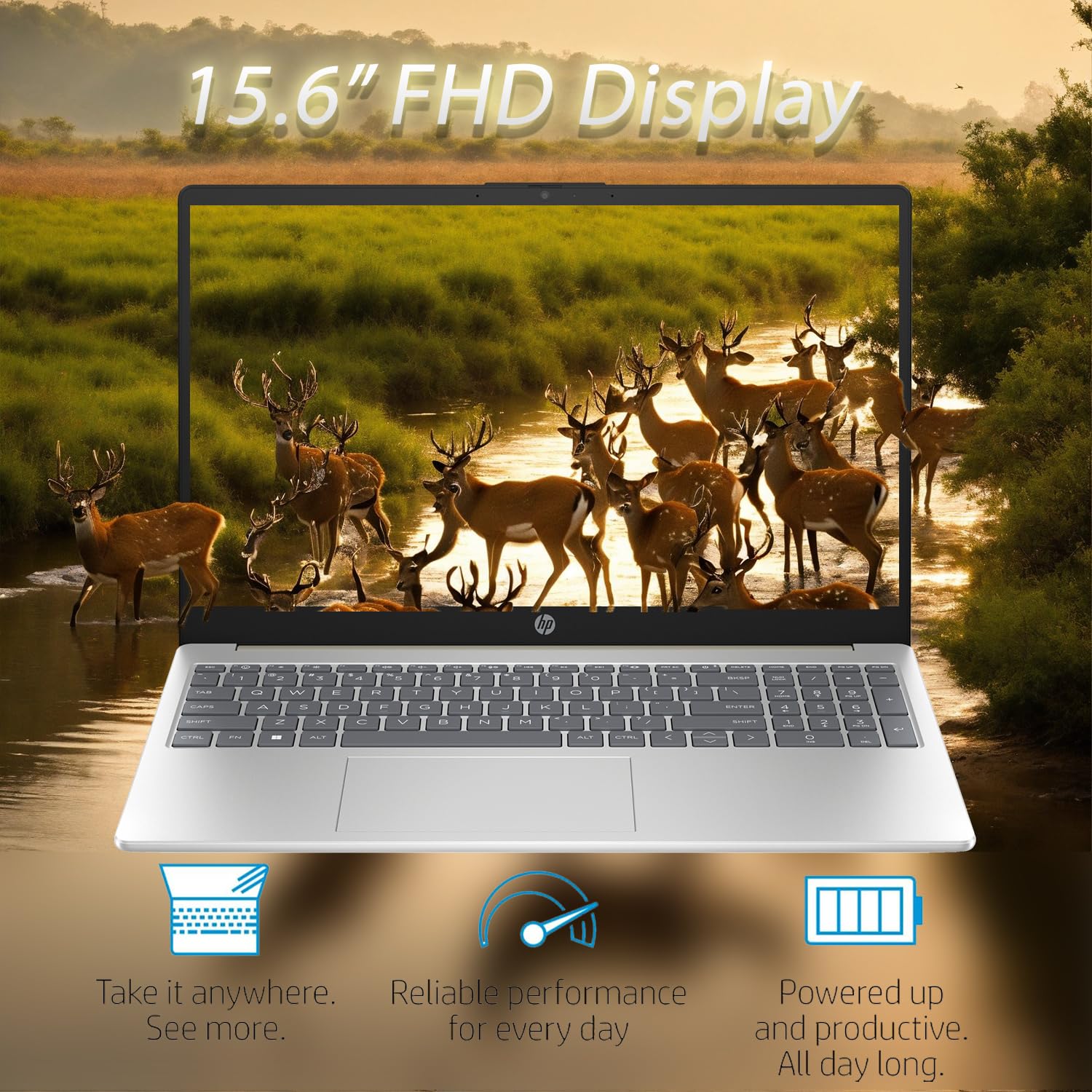 Amazon.com: HP Pavilion 15.6