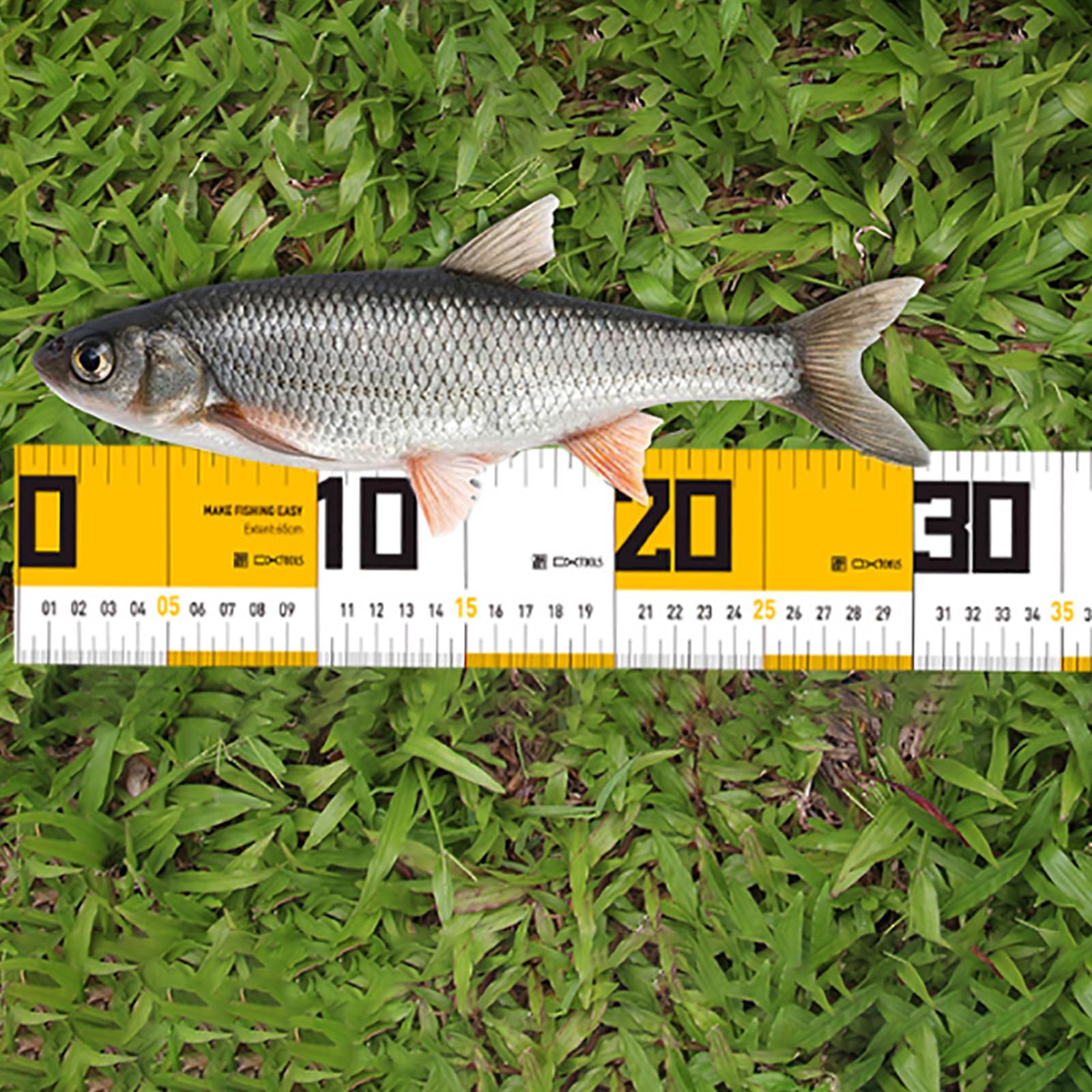 Cinta métrica de peces de 25 pulgadas, cinta métrica de pesca, plegable, 65 cm, resistente al agua, regla de medición de peces