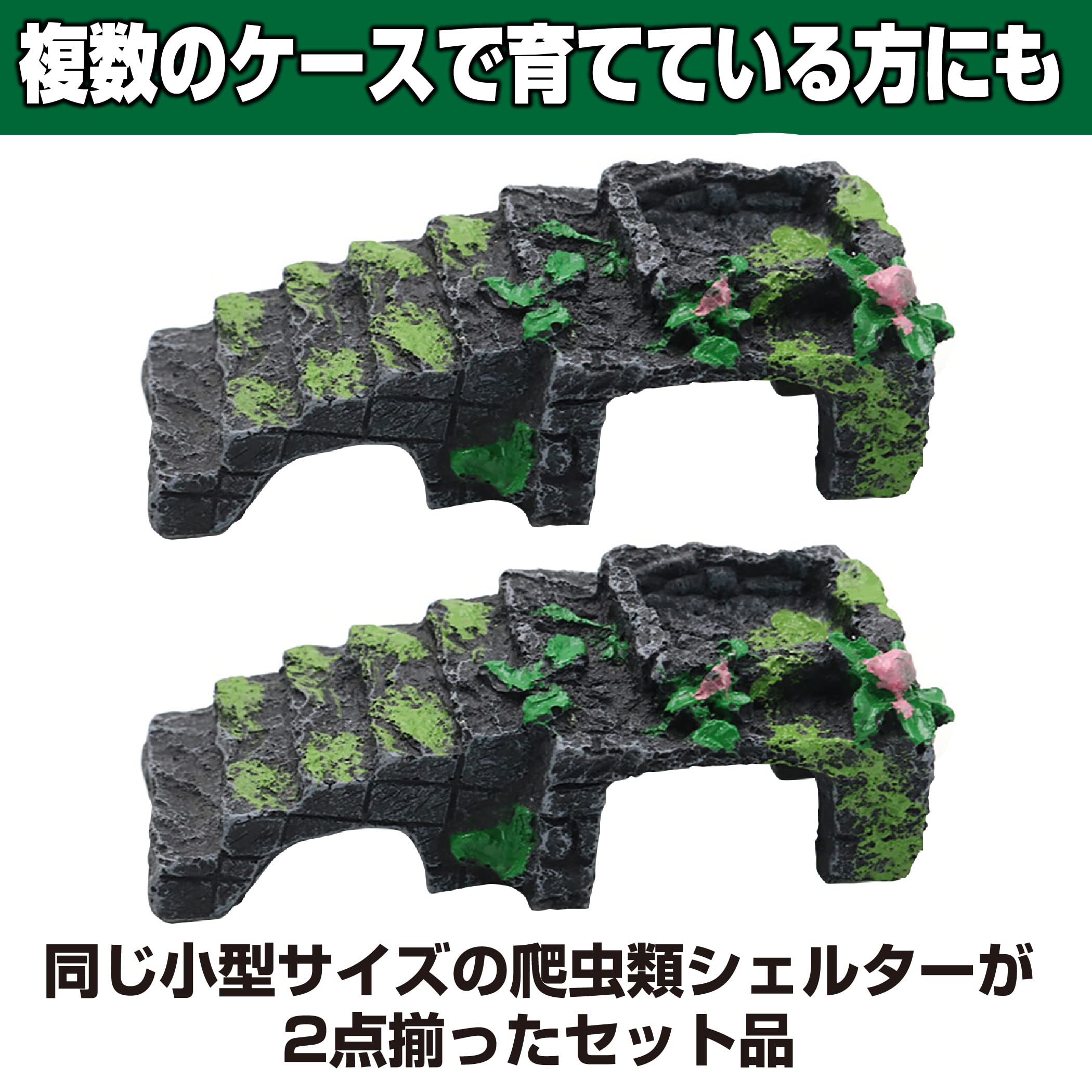 爬虫類シェルター 2点 【公式通販】
