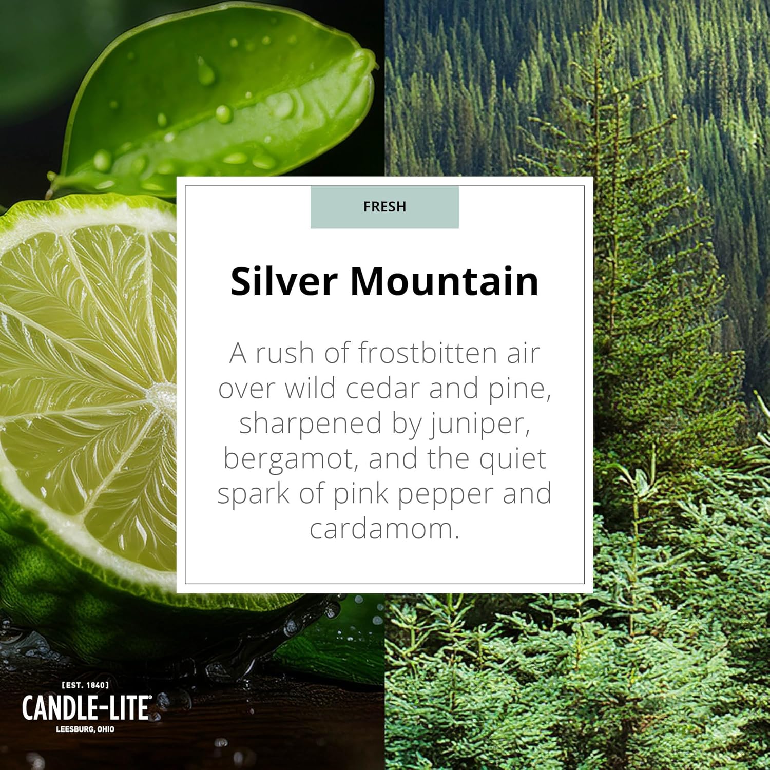 Candle-lite Rugged & Refined Scented Candle for Men, Silver Mountain, 9 oz Tin, Poured in The USA, Masculine Fragrance, 1-Wick, 58 Hours of Burn Time, Ideal Gift for Man in Your Life & Father's Day - Image 2