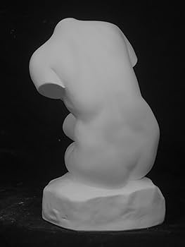 Amazon.co.jp: 石膏像 T－507 トルソー女子坐像 H