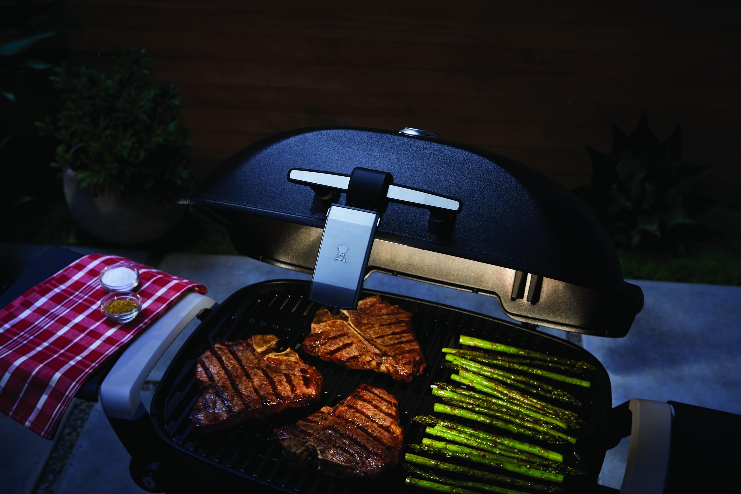 Amazon.com : Weber Q Grill 'n Go Light – Handle‑Mounted LED Grill