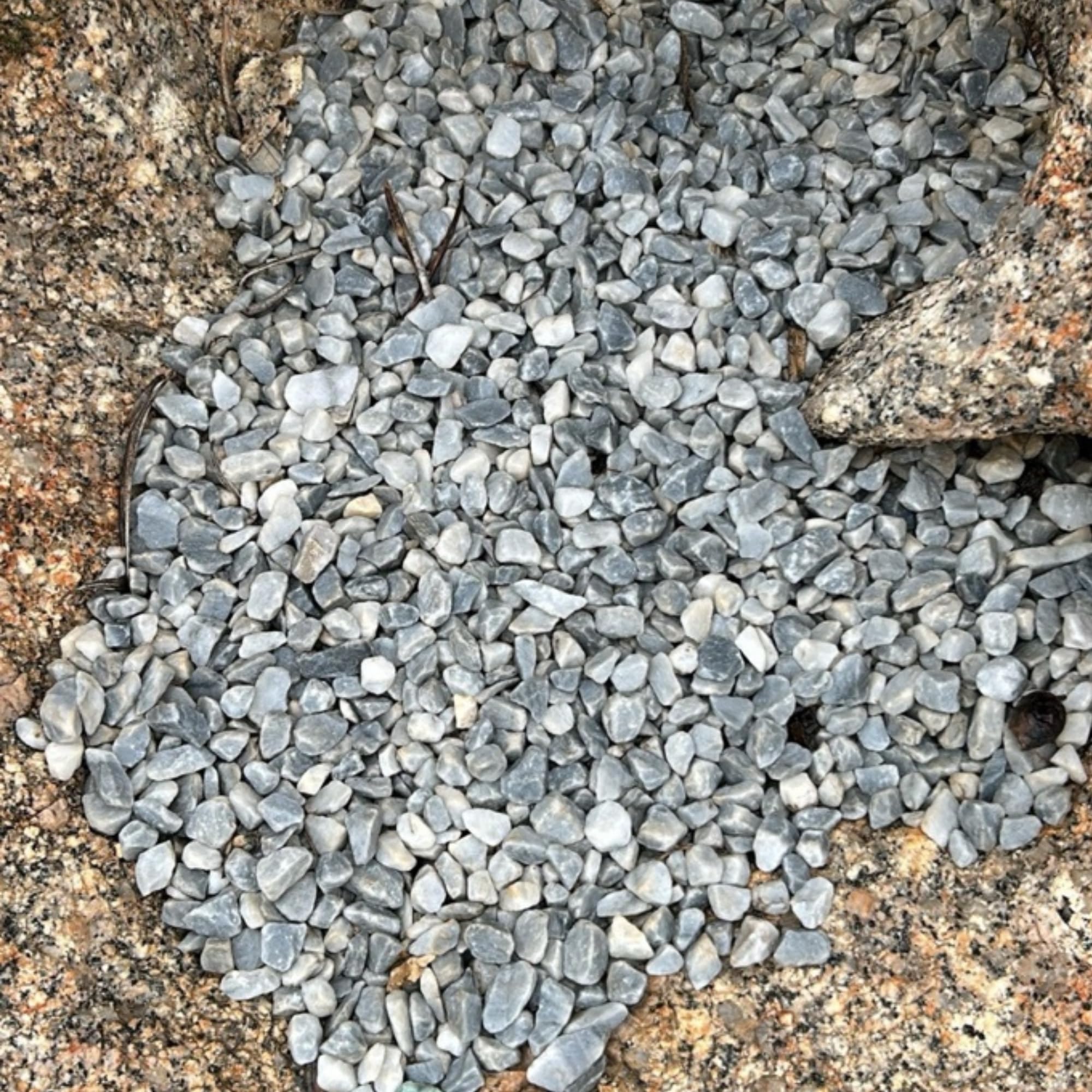Ghiaia Decorativa Marmo Bardiglio Grigio 7–15 mm Pre-Lavata – Ideale per Vasi, Aiuole e Giardino – Riduce Polvere e Migliora Drenaggio – Clorophilla (GRIGIO 1,8 KG)