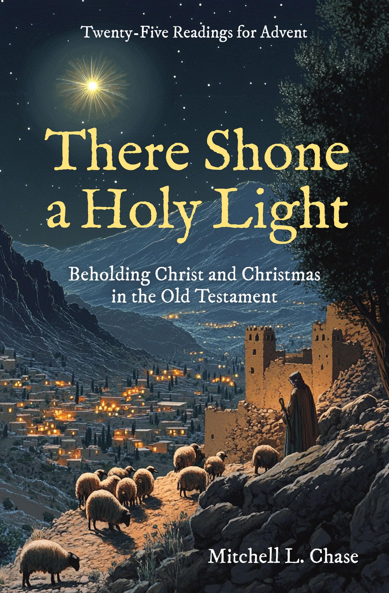 There Shone a Holy Light: Beholding Christ and Christmas in the Old Testament: Twenty–Five Readings for Advent (Devotionals)