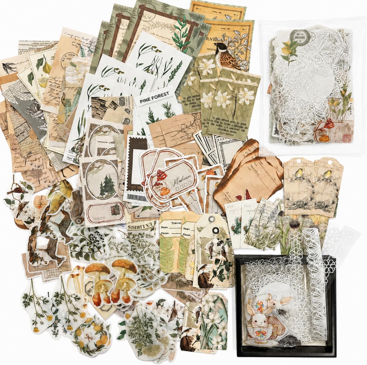 260-Piece Botanical Scrapbook Kit, Vintage Paper and Stickers