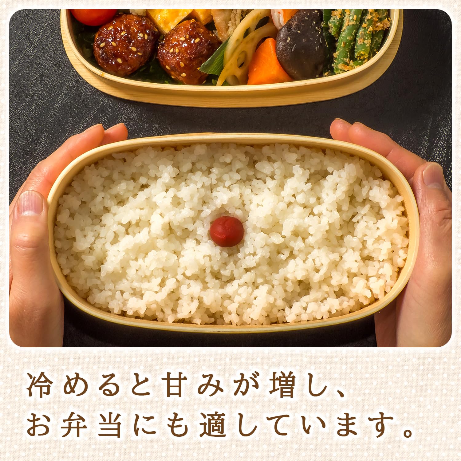 令和７年　キヌヒカリ　玄米
30キロ 令和7年産】 滋賀県産 キヌヒカリ 5kg: 近江の味彩|【JAタウン