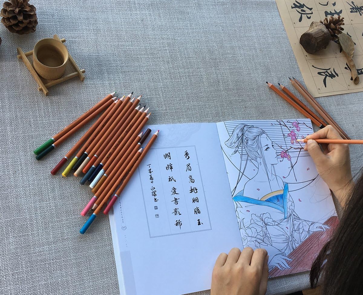 Chinese coloring book line sketch drawing textbook Chinese ancient beauty drawing book adult anti-stress coloring books