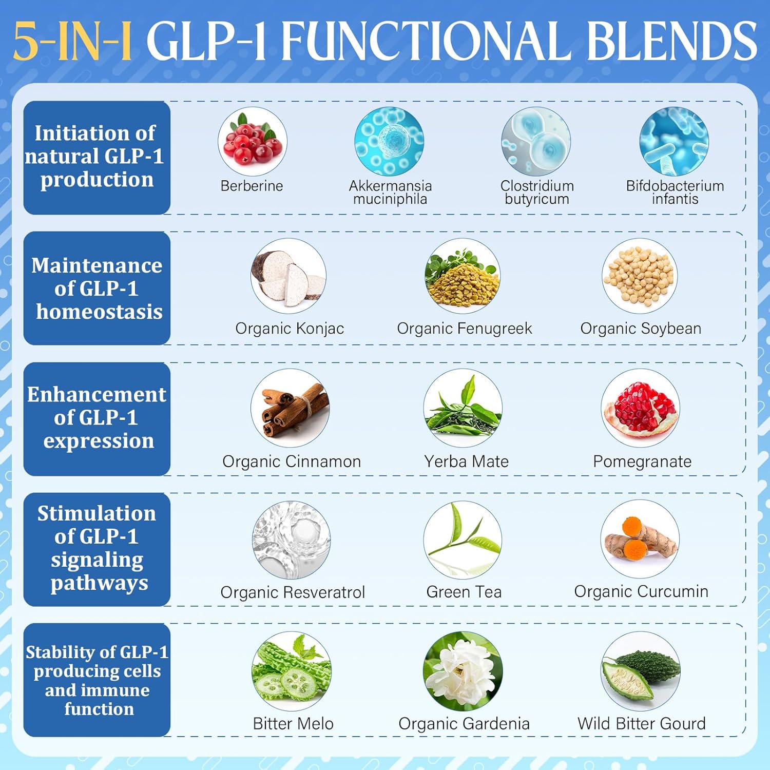 GLP-1, GLP-1 Supplement for Women & Men | 17-in-1 Scientific Formula GLP1 Gummies with Berberine, Akkermansia for Nutrient Absorption, Metabolism Digestion & Gut, No Stomach Discomfort, 90 Gummies - Image 4