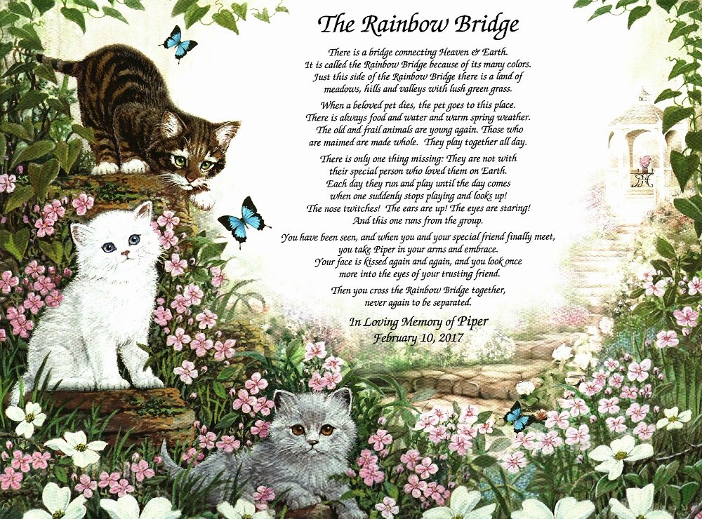 NAMES TO REMEMBER What's in a Name? Personalized Rainbow Bridge Pet Memorial for Loss of A Beloved Cat Gifts for Cat Owners Lovers