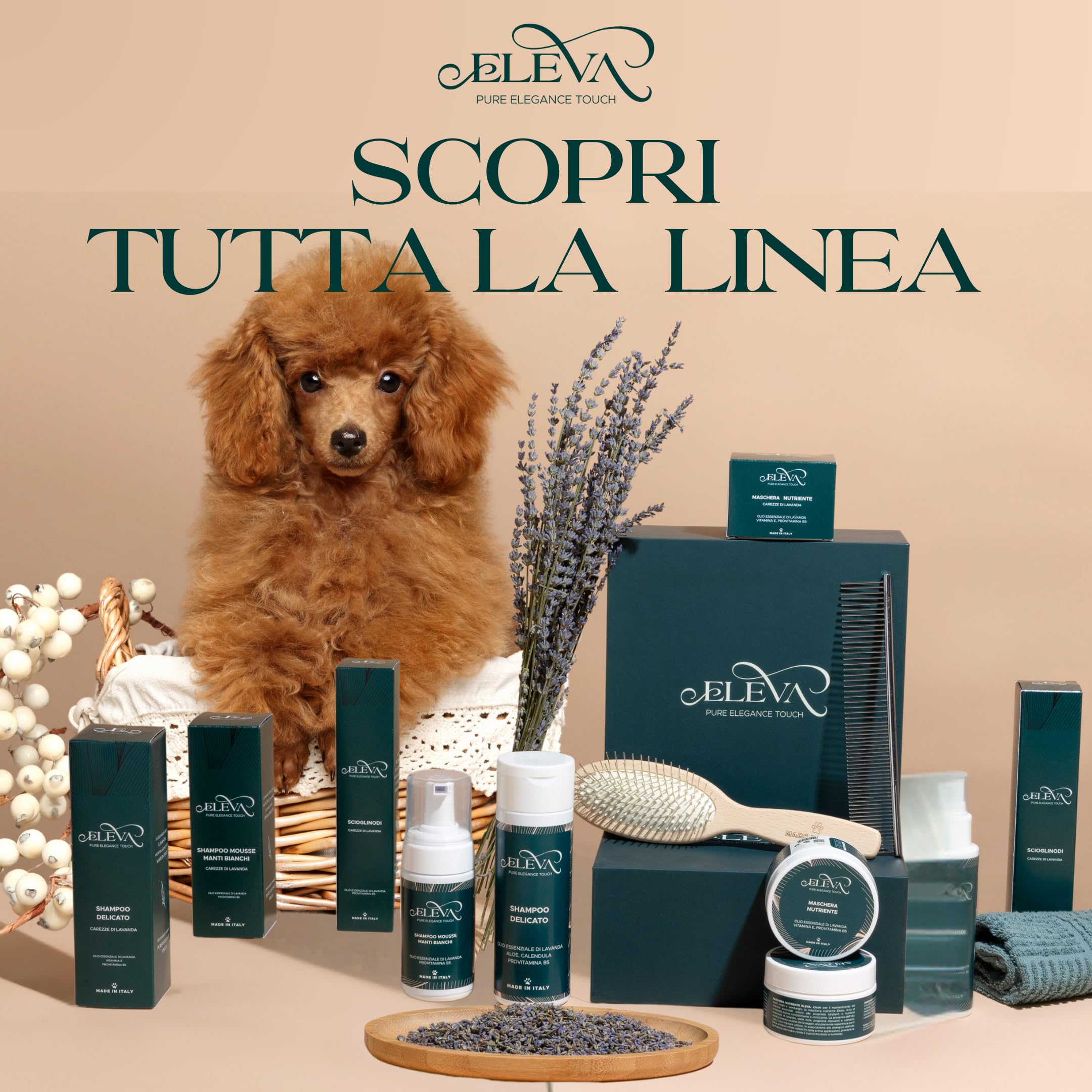 ELEVA PET - Spazzola per Cani in Legno - Denti in Acciaio - Toelettatura Professionale - Rimuove Nodi Senza Sforzo - per Pelo Lungo e Semilungo - Mantiene il Manto Pulito e Luminoso - Made in Italy