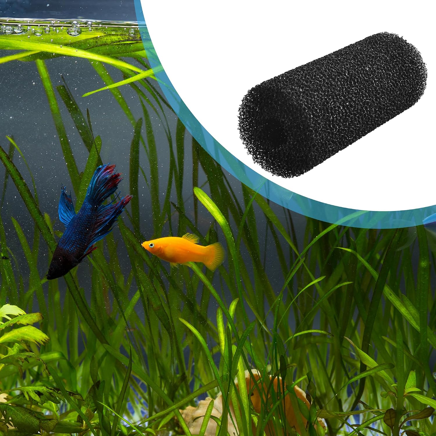 Sponge Filter Cartridges, Cylinder Filter Sponge for Aquarium Fish Tank, 0.8 inch Dia (Black)