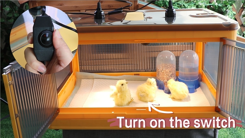 Chicken Brooder Kit