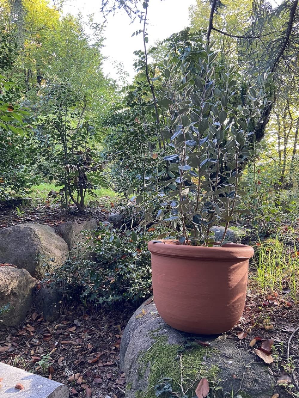 Garden Italia Vasi Vaso tondo per piante Conca liscia ICOL Diam.45 cm alt.34 in resina colore terracotta - Per interni ed esterni - Resistente al gelo - antiurto - Leggero