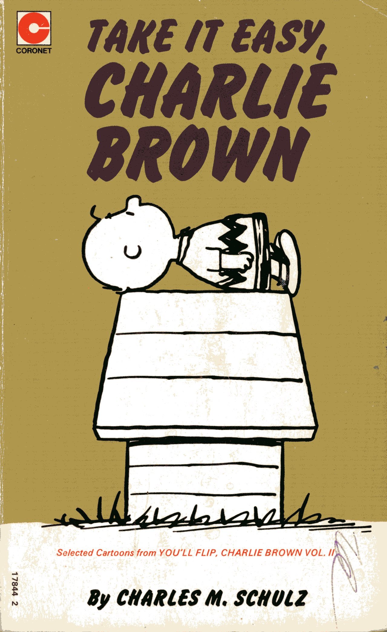 Take it Easy Charlie Brown