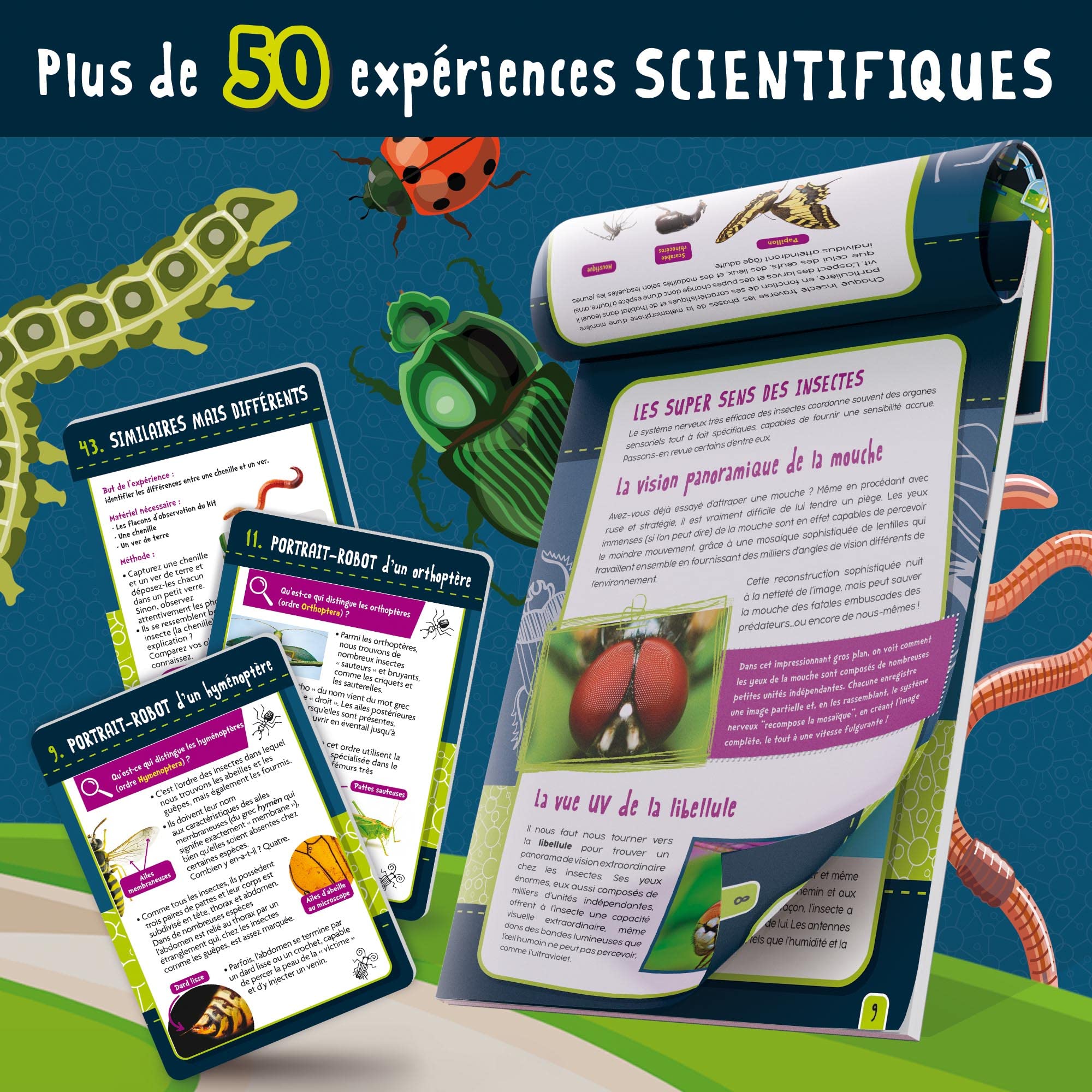 Génius Science - jeu scientifique - les insectes - LISCIANI, Centre